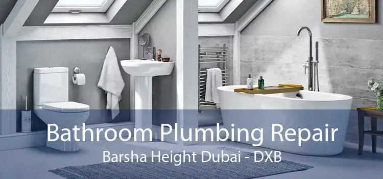 Bathroom Plumbing Repair Barsha Height Dubai - DXB