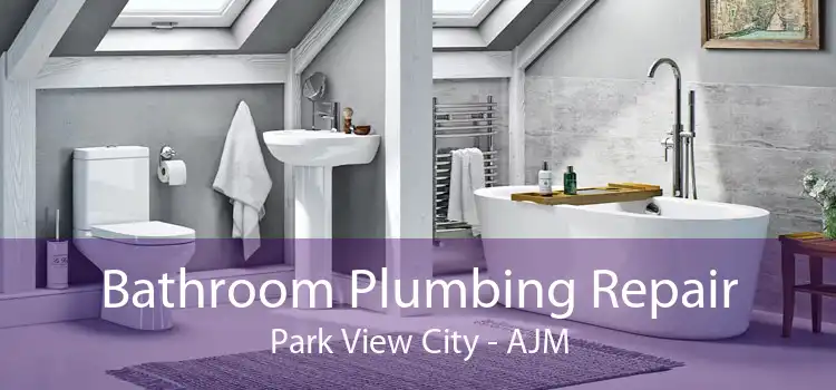 Bathroom Plumbing Repair Park View City - AJM