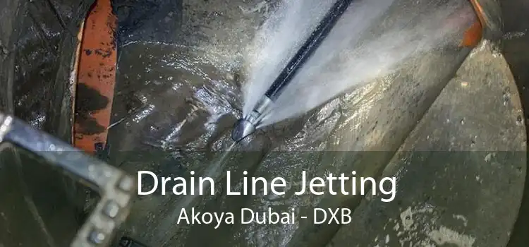 Drain Line Jetting Akoya Dubai - DXB