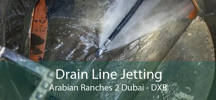 Drain Line Jetting Arabian Ranches 2 Dubai - DXB