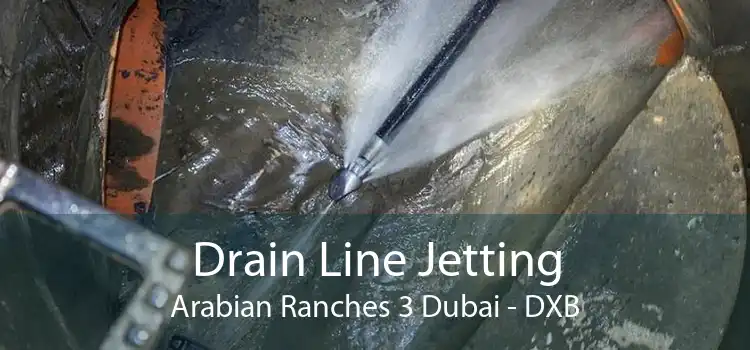 Drain Line Jetting Arabian Ranches 3 Dubai - DXB