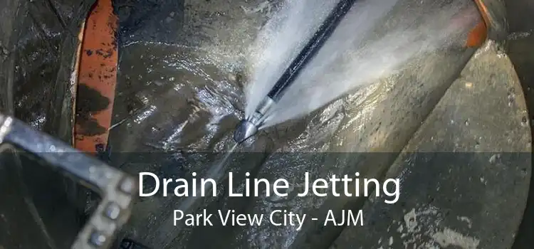 Drain Line Jetting Park View City - AJM