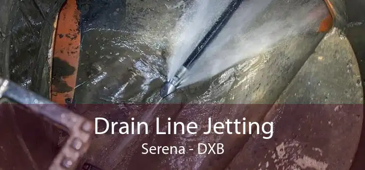 Drain Line Jetting Serena - DXB