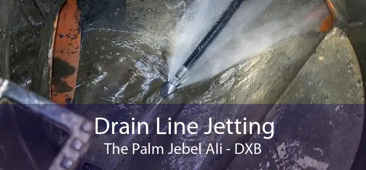 Drain Line Jetting The Palm Jebel Ali - DXB