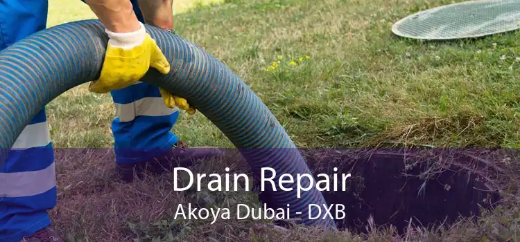 Drain Repair Akoya Dubai - DXB