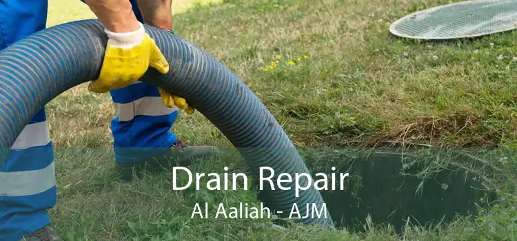 Drain Repair Al Aaliah - AJM