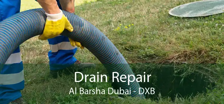 Drain Repair Al Barsha Dubai - DXB