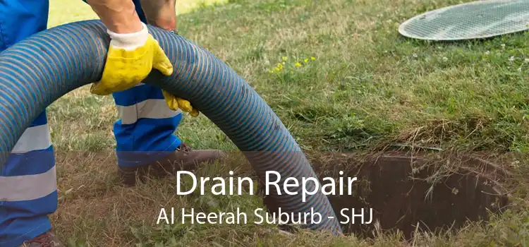 Drain Repair Al Heerah Suburb - SHJ