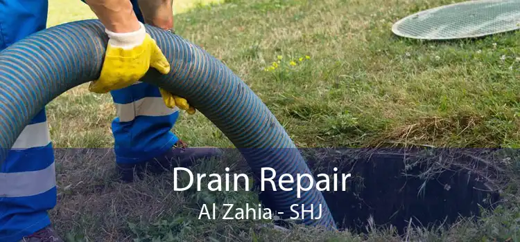 Drain Repair Al Zahia - SHJ