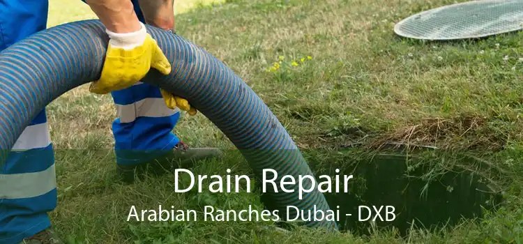 Drain Repair Arabian Ranches Dubai - DXB