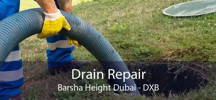 Drain Repair Barsha Height Dubai - DXB