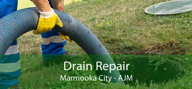 Drain Repair Marmooka City - AJM