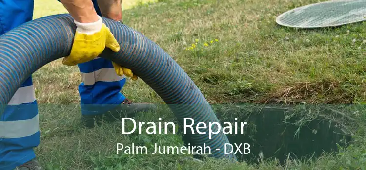 Drain Repair Palm Jumeirah - DXB