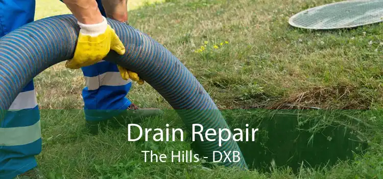 Drain Repair The Hills - DXB