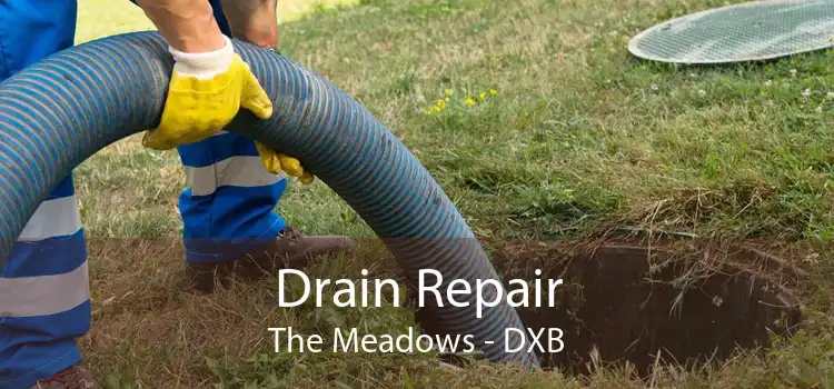 Drain Repair The Meadows - DXB