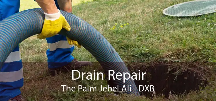 Drain Repair The Palm Jebel Ali - DXB