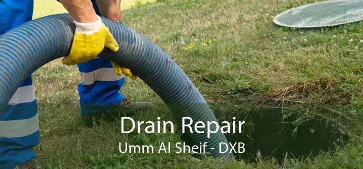 Drain Repair Umm Al Sheif - DXB