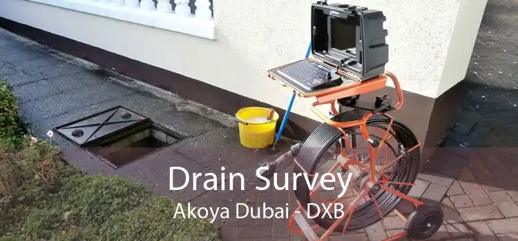 Drain Survey Akoya Dubai - DXB