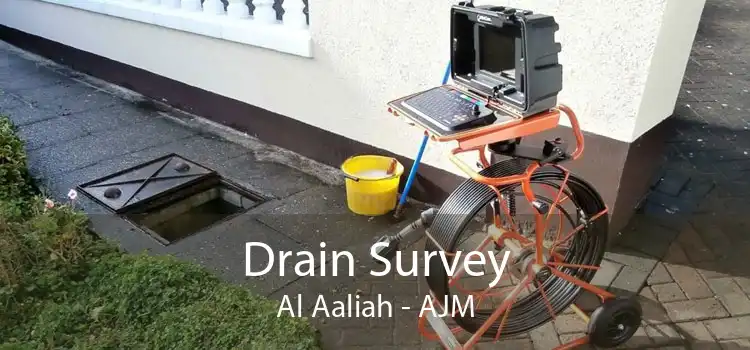 Drain Survey Al Aaliah - AJM