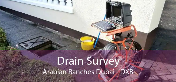 Drain Survey Arabian Ranches Dubai - DXB