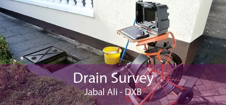 Drain Survey Jabal Ali - DXB