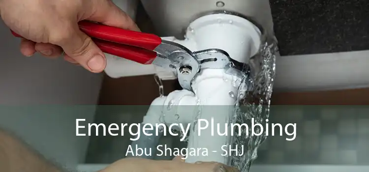 Emergency Plumbing Abu Shagara - SHJ