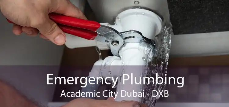 Emergency Plumbing Academic City Dubai - DXB