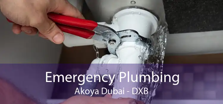 Emergency Plumbing Akoya Dubai - DXB