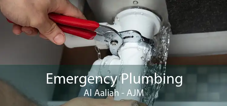 Emergency Plumbing Al Aaliah - AJM