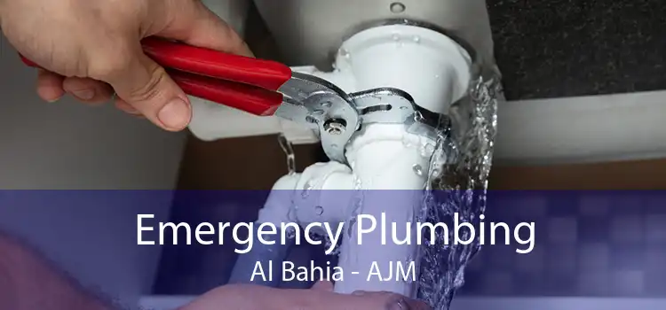 Emergency Plumbing Al Bahia - AJM