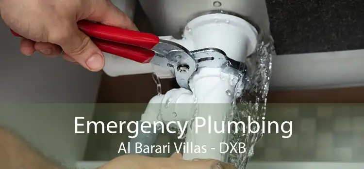 Emergency Plumbing Al Barari Villas - DXB