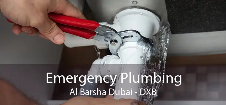 Emergency Plumbing Al Barsha Dubai - DXB