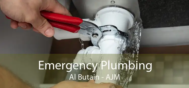 Emergency Plumbing Al Butain - AJM