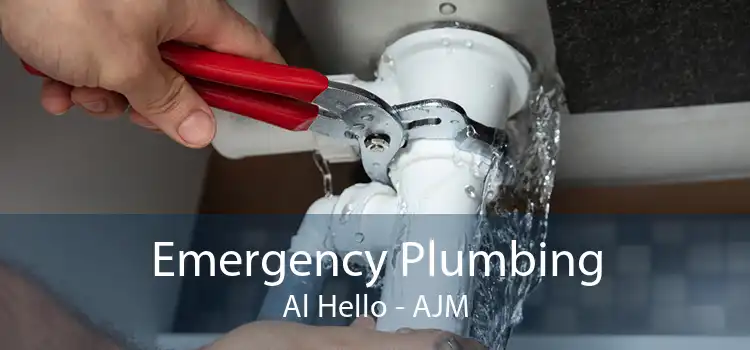 Emergency Plumbing Al Hello - AJM