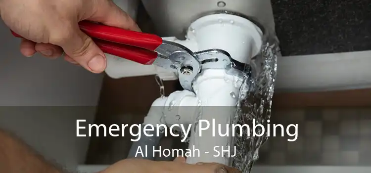 Emergency Plumbing Al Homah - SHJ