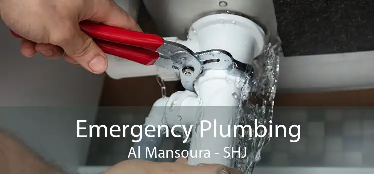 Emergency Plumbing Al Mansoura - SHJ