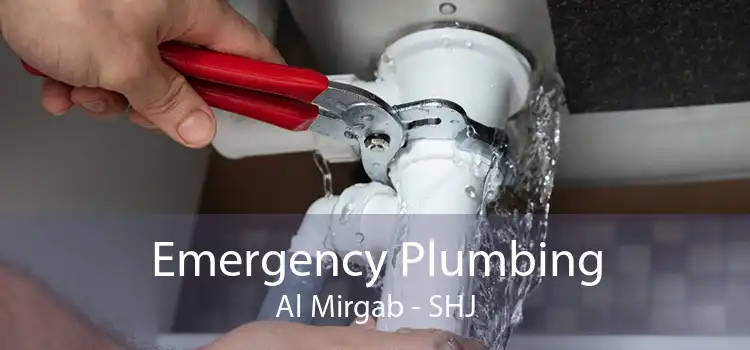 Emergency Plumbing Al Mirgab - SHJ