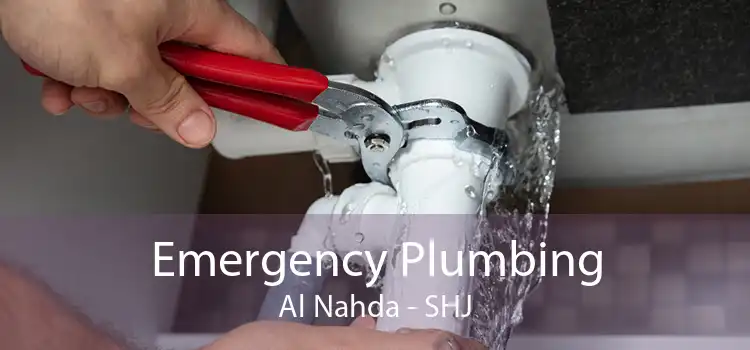 Emergency Plumbing Al Nahda - SHJ