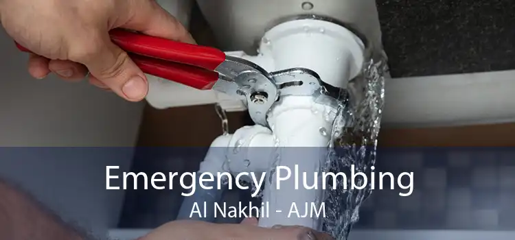 Emergency Plumbing Al Nakhil - AJM