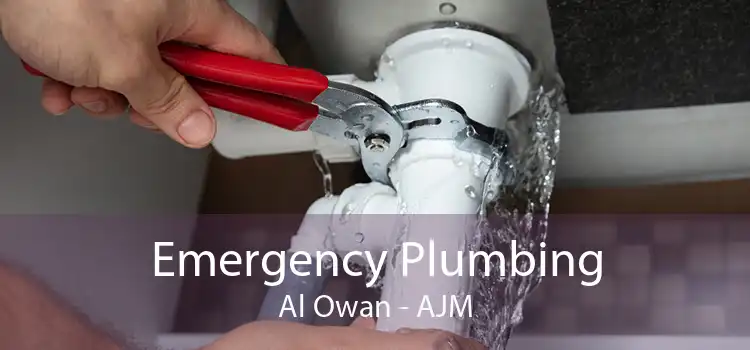 Emergency Plumbing Al Owan - AJM