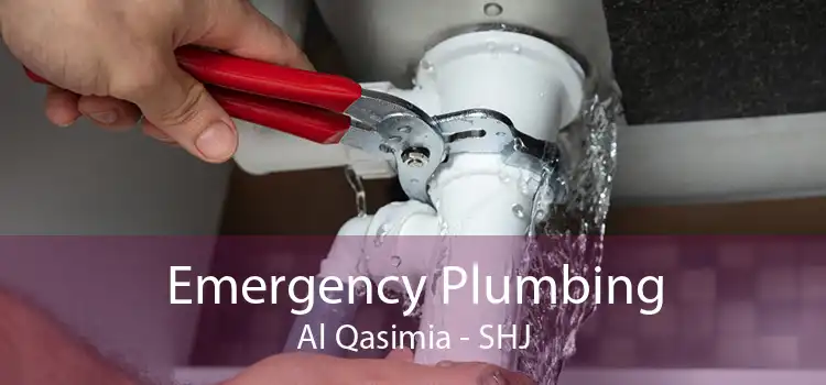 Emergency Plumbing Al Qasimia - SHJ