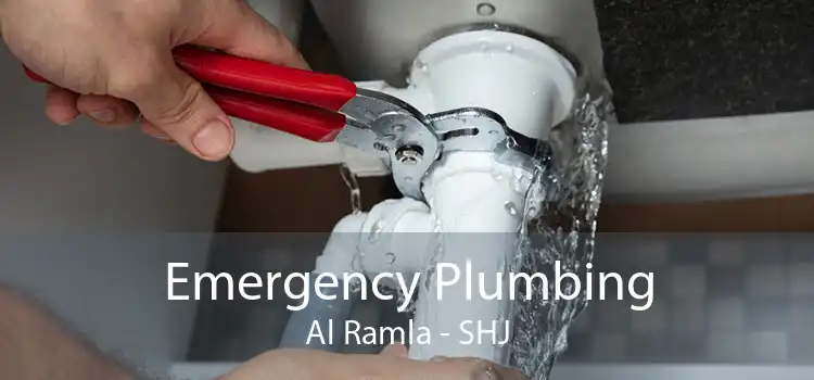 Emergency Plumbing Al Ramla - SHJ