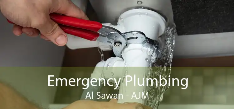 Emergency Plumbing Al Sawan - AJM