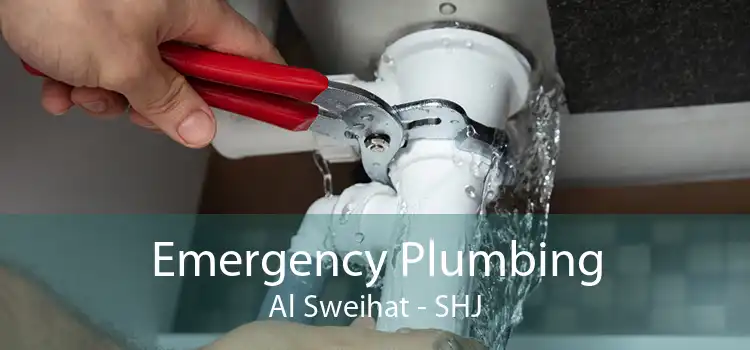 Emergency Plumbing Al Sweihat - SHJ