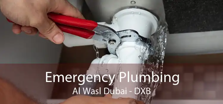 Emergency Plumbing Al Wasl Dubai - DXB