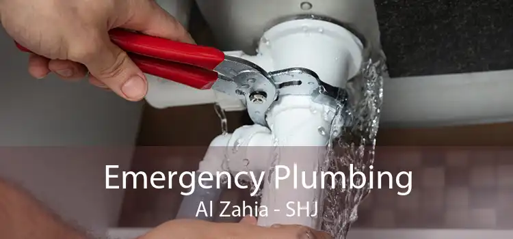 Emergency Plumbing Al Zahia - SHJ