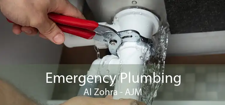 Emergency Plumbing Al Zohra - AJM