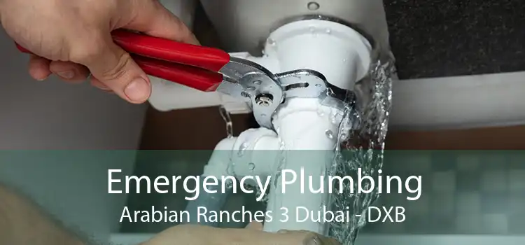 Emergency Plumbing Arabian Ranches 3 Dubai - DXB