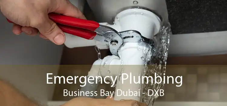 Emergency Plumbing Business Bay Dubai - DXB