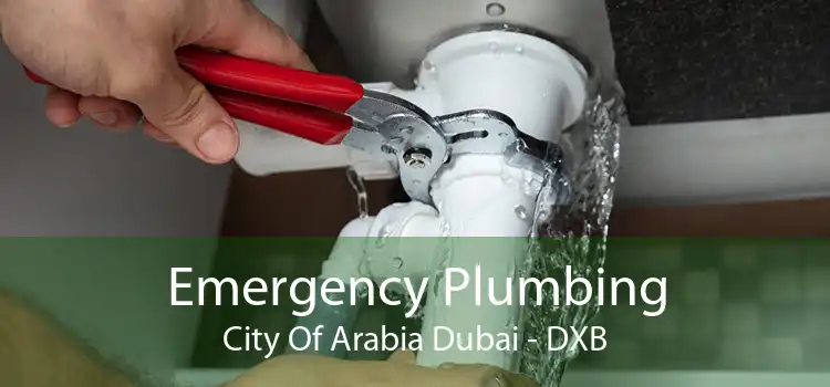 Emergency Plumbing City Of Arabia Dubai - DXB